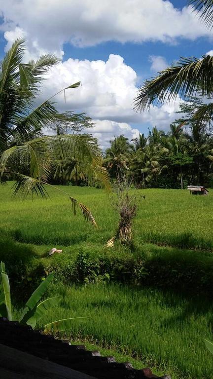 Kishi-Kishi Ubud Villas Esterno foto