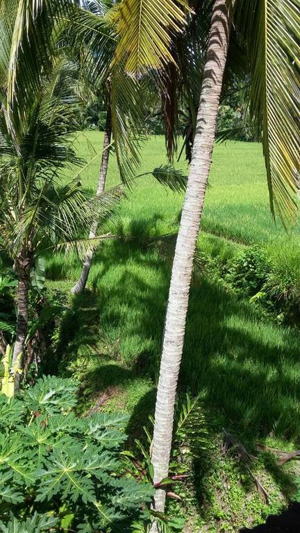 Kishi-Kishi Ubud Villas Esterno foto