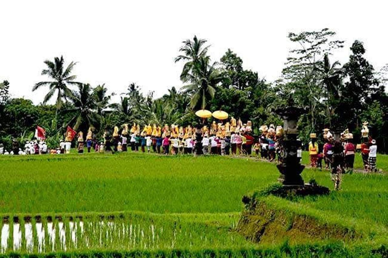 Kishi-Kishi Ubud Villas Esterno foto